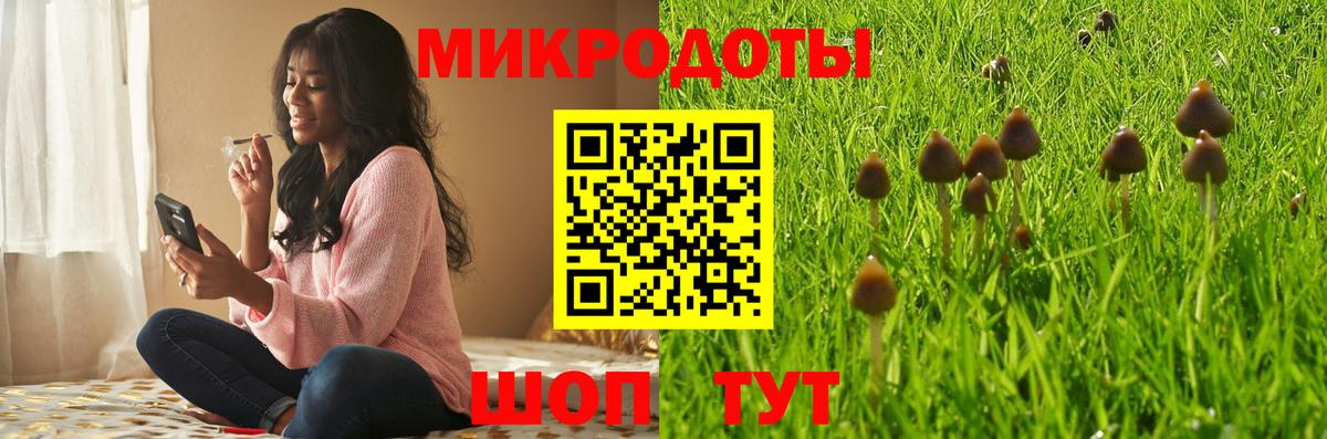 Псилоцибиновые грибы ЛСД Павловский Посад